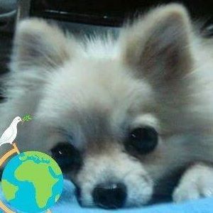 Meet your Posher, Ditas